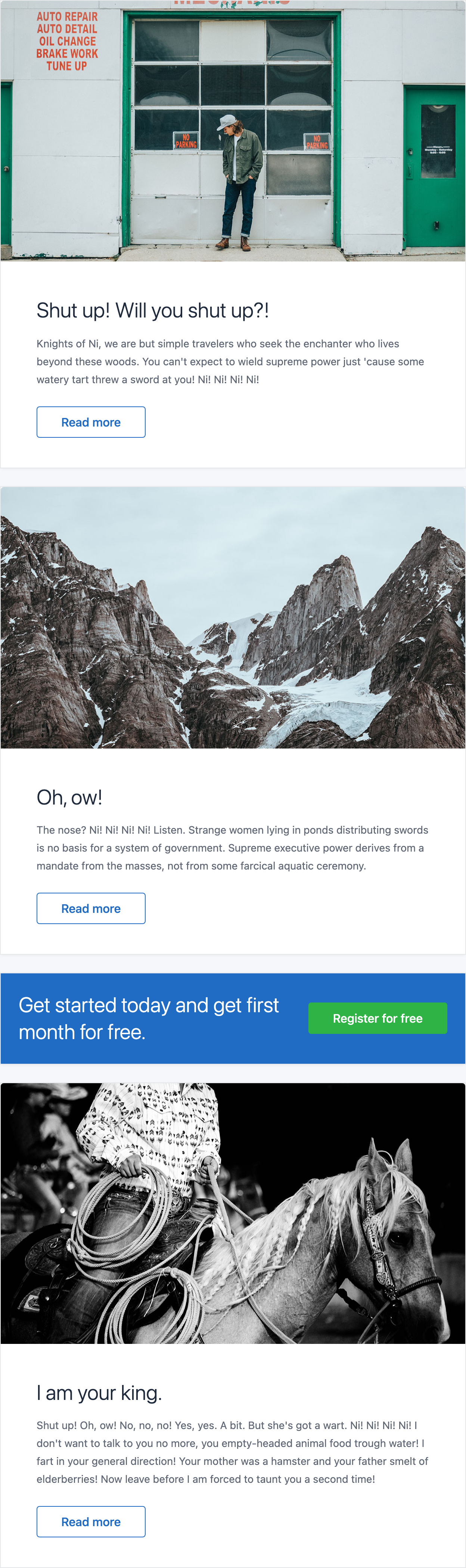 Email template showing the newsletter